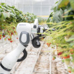 Conoce a BERRY, un robot que analiza la calidad y madurez de las fresas