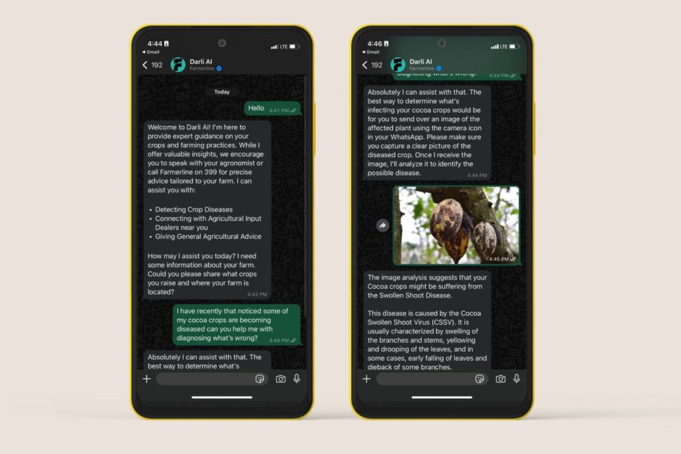 Darli AI: el chatbot que ayuda a los agricultores con sus cultivos