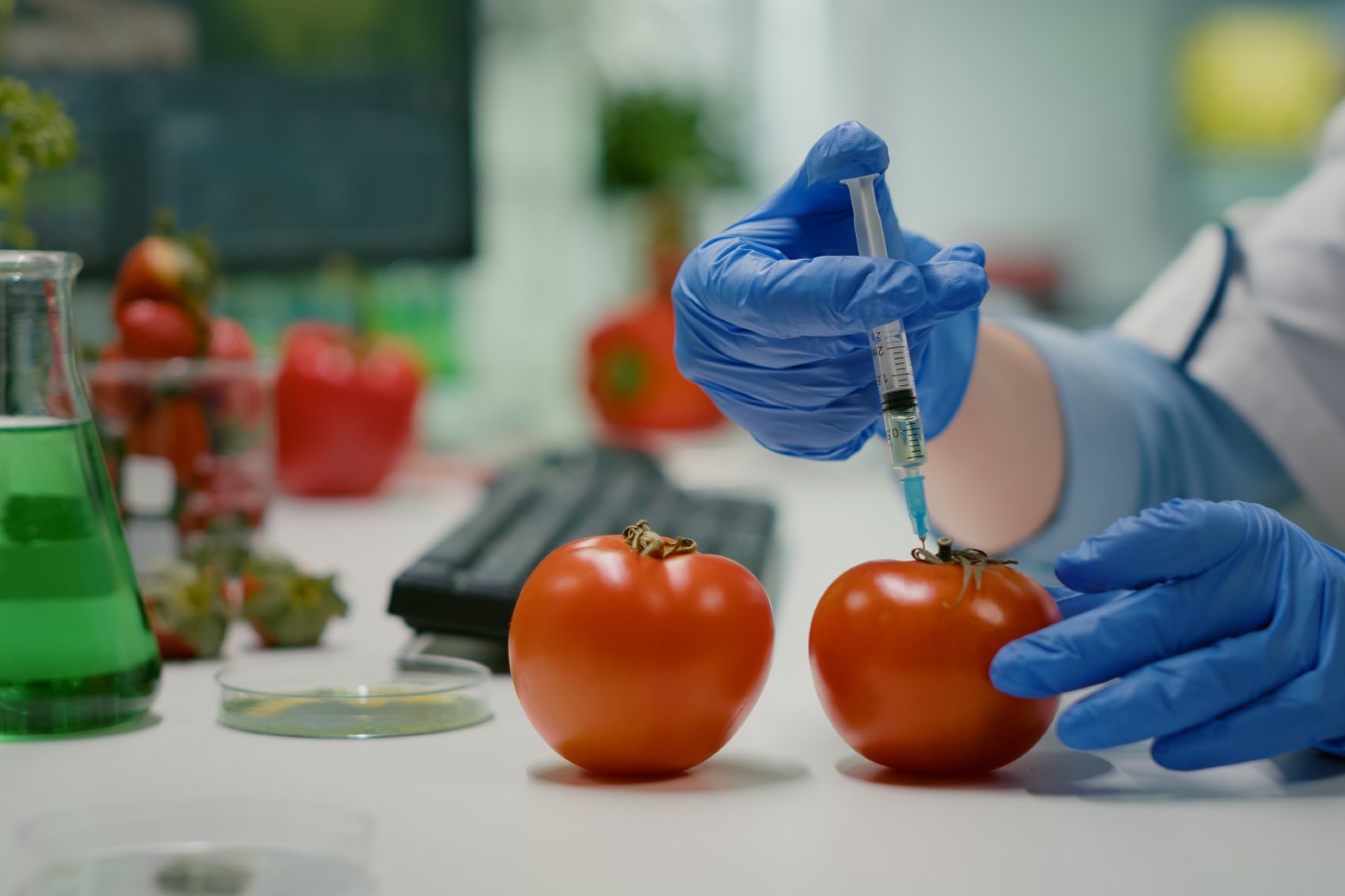 CRISPR-Cas hará más resistentes los cultivos a la sequía