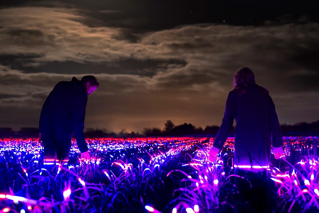 Un espectáculo demuestra cómo la luz LED mejora el crecimiento de los cultivos