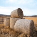 Esta malla compostable para pacas quiere poner fin al plástico en el campo