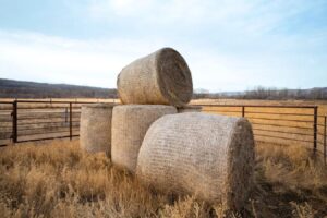 1. Desarrollan una malla compostable para el ensilado para acabar con los plásticos en el campo.