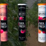 EverFresh, una solución para duplicar la vida útil de frutas y verduras sin químicos