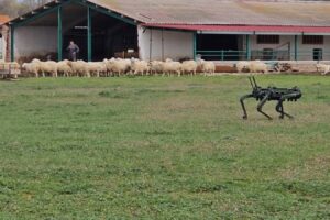La Universidad de León construye su propio perro-robot para ayudar en el pastoreo