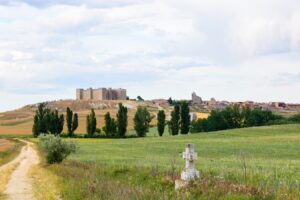 Castilla y León lanza 100 millones en ayudas para modernizar el campo y facilitar el relevo generacional