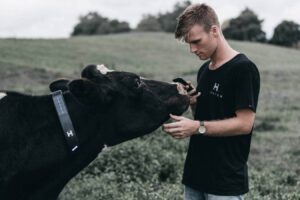 El collar inteligente que permite mover a las vacas sin cercas físicas
