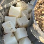 Desarrollan agua sólida biodegradable para regar menos