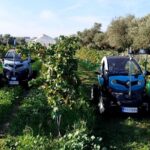 Un Renault Twizy convertido en robot para vigilar viñedos: así es el vehículo del CSIC y la UPM que detecta plagas y estima cosechas