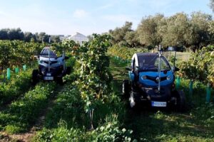 Un Renault Twizy convertido en robot para vigilar viñedos: así es el vehículo del CSIC y la UPM que detecta plagas y estima cosechas