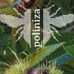 GO POLINIZA busca convertir la polinización en una aliada de la rentabilidad agraria