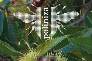GO POLINIZA busca convertir la polinización en una aliada de la rentabilidad agraria