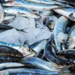 Del mar al campo: prueban biofertilizantes hechos con residuos de pesca