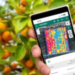 Agerpix da el salto a Latinoamérica y abre su primera filial en Perú