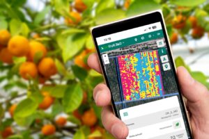 Agerpix da el salto a Latinoamérica y abre su primera filiar en Perú