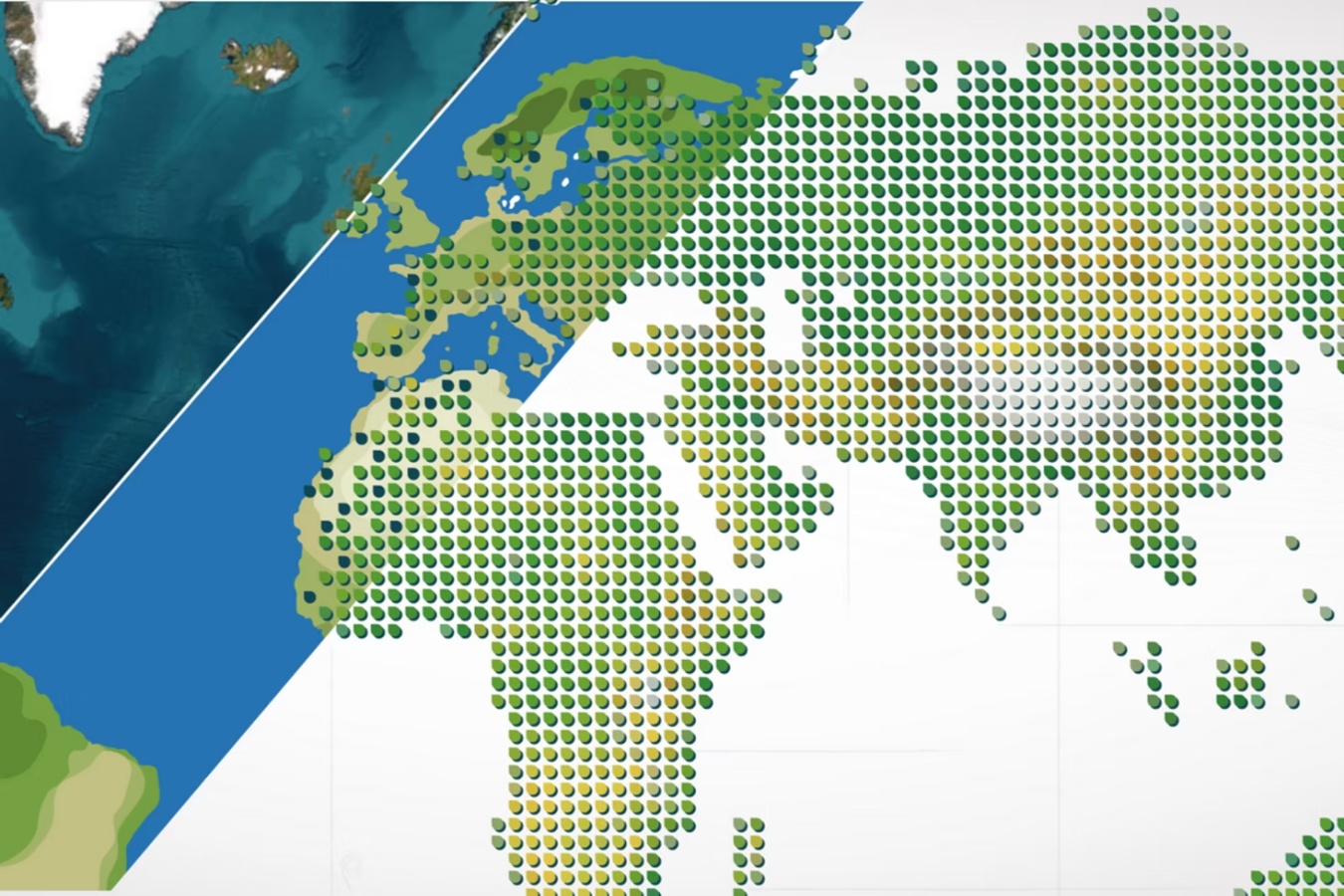 Comprueba el efecto de la sequía sobre tus cultivos en esta web